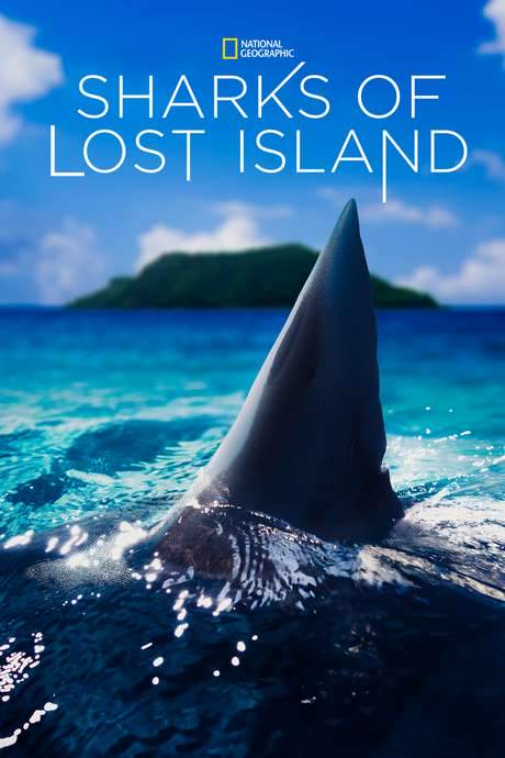 Sharks of Lost Island